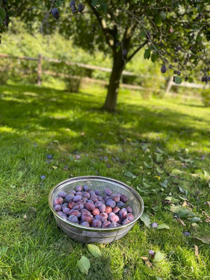 רדקוב Klimatyczny Dom Kopaczowka Przytulna Miejscowka Z Kominkiem, Sauna I Ogrodem U Podnoza Gor Stolowych מראה חיצוני תמונה